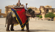 Elephant Ride